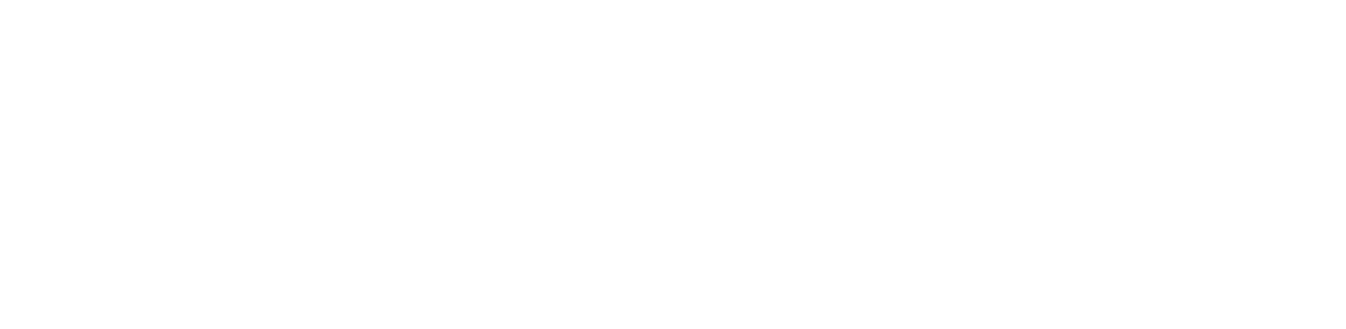 Nespon
